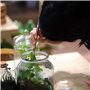 3 en 1 Aquarium Aquascaping Kit INOX Aquarium Tank Plante Aquatique Outils Kit avec avec Sac de Rangement (2 Pinces, 1 Spatule)