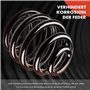 Frankberg 2x Ressorts de suspension Essieu Arrière Compatibles avec 307 2000-2014 C4 Coupé 2004-2011 C4 I 2004-2011 C4 II 2009-2