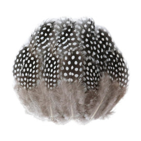 DHSBGWSX Lot de 100 plumes de perles