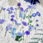 autocollants de scrapbooking