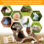 Petits Animaux