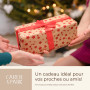 CARER SPARK Épurateur de Peau Ultrasonique - Spatule Visage à Ultrasons EMS Ions Lumière Rouge et Bleue, 4 Modes pour Nettoyage 