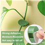 Accessoires pour Plantes