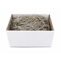 Prym #17 112200 Épingles à couture droites – 1 lb Box (taille 17, 1-1/16")