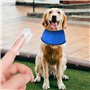 YSJCHEBS 1 Collier Rafraîchissant pour Animal De Compagnie, 6 Brosses À Dents en Silicone pour Animaux De Compagnie, Gilet Rafra