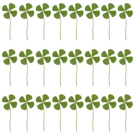 Fleurs Séchées De Trèfle À Quatre Feuilles