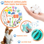 Ensemble de 20 Pièces Jouets pour Chien