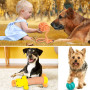 MULEVIP Jouet pour Chien,Ensemble de 20 Pièces Jouets pour Chien,Jouet Chien Corde,Durables Mâcher Corde Jouet Chiens Cadeau-Cot