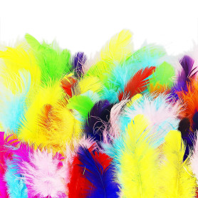 Lot de 100 plumes d'oie colorées pour loisirs créatifs