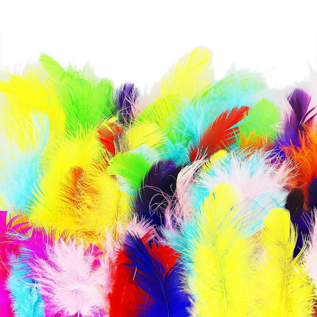 Lot de 100 plumes d'oie colorées pour loisirs créatifs