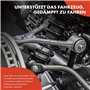Frankberg 2x Ressorts de suspension Essieu Avant Gauche Droite Compatibles avec Golf IV 1J1 1997-2005 New Beetle Cabriolet 1Y7 2
