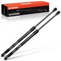 Frankberg 2x Ressorts à Gaz pour Hayon Compatibles avec Grand Scénic III JZ0/1 MPV 2009-2021 Scénic III JZ0/1 MPV 2009-2021 Remp