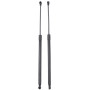 Frankberg 2x Ressorts à Gaz pour Hayon Compatibles avec Grand Scénic III JZ0/1 MPV 2009-2021 Scénic III JZ0/1 MPV 2009-2021 Remp
