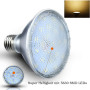 Y.W.Licht Y.W PAR30 Lampe LED E27 12W blanc chaud 3000K Ampoule à réflecteur 220V Etanche IP65 Spotlight 120°Angle de rayonnemen