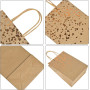 12Pcs Sac de Kraft, Sac Papier Kraft avec Poignée Pochette en Papier d'Alimentaire, Bronzage Sac en Papier Recyclable pour Anniv