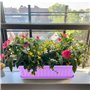 ZOENHOU Lot de 6 jardinières rectangulaires en plastique de 43 cm avec plateaux et 30 étiquettes vertes pour rebord de fenêtre, 