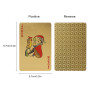 FT-SHOP Jeu de Carte Lot de 2 Cartes de Poker Imperméable en Feuille, Outil de Tours de Magie Classique pour la Fête et Le Jeu, 