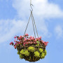 Crochets en S de 12 cm de Grande Crochets Plats en S Crochet de Suspension en Acier Inoxydable pour Ustensiles de Cuisine, Servi