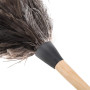 Plumeau Poussiere Lavable Plumeau en Plumes Autriche Authentiques Duster Plumes d'autruche Dinde Statique Lavable à la Main avec