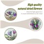 RHQFDM Lot de 10 petits bouquets de fleurs séchées - Décoration naturelle séchée - Pour bricolage, journal intime et album photo