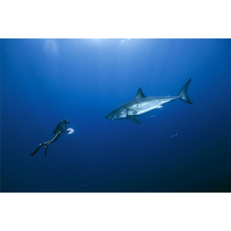 Itian Lunettes de Natation avec Réglage Silicone Head Strap - Anti-Brouillard