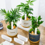 Etiquette Semis Potager