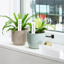 GIDWRIY 300 Pièces Etiquettes Plantes Plastique 10 X 2 CM,Etiquette Semis Potager,Etiquette Jardin Exterieur,Etiquette Plantatio