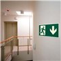 BAIFULAI Panneau de Sortie de Secours Luminescent: 10 Pièces Autocollants de Chemin de Fuite, Luminescence Prolongée, pour Intér