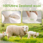 LAPONO Balle de Séchage Laine 6 Pièces Boule Seche Linge Doudoune Réduisent Froissage Laver Boules Anti Statique Naturel Mouton 