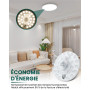 Bonlux Module LED Cercle 12W Kit de Conversion LED pour Plafonnier Blanc Naturel 4000K Avec Aimant de Fixation pour Boîtier de P