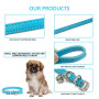 Jolis Colliers