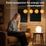 Lampe Lumière du Jour Minuteur