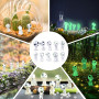 Homefantasy 10 Pièces Lumineux Arbre Elfes,Figurines Princesse Mononoké Esprits de la Forêt,Ornements de Jardin Lumineux dans Le