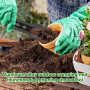 mizikuu Pelle de Jardin, Truelle de Fleurs en Acier Petite Pelle de Jardinage Truelle de Jardinage Universelle pour la Plantatio