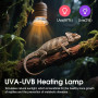 Dimmable Lampe Terrarium Tortue