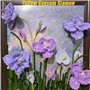 Scrapbooking - Fleurs en Papier et Tissu Fai