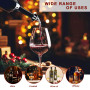 Zyluniy Bouchon Doseur Alcool 2cl, 6pcs Bec Verseur Réglable pour Bouteille de Whisky, Ricard & Cocktails, Doseur Liquide Précis