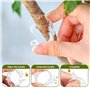 TTPSRY 203 Pièces Kit Attache Plante Jardin Clips Fixation Vigne Anneau Support Tuteur Légume Tomate Fleur Fruit