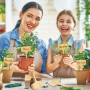Étiquettes Jardin en Bambou