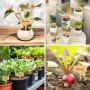 GIDWRIY 40 Pièces Etiquette Plantes Jardin,Étiquettes Jardin en Bambou,Pancarte Potager Exterieur,Pancarte de Jardinage,Étiquett