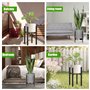 Dunkwckore Support Plantes Interieur, Réglable Étagère Planteen Métal, Tabouret Plante Dans Un Style Simple Convient aux Intérie