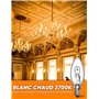 Dimmable C35 E14 Light Bulbs