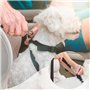 TRKETK 2 Pièces Ceinture Chien Voiture, Harnais Chien Universel Laisse pour Voiture avec Absorption de Chocs Clip de Harnais pou