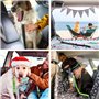 TRKETK 2 Pièces Ceinture Chien Voiture, Harnais Chien Universel Laisse pour Voiture avec Absorption de Chocs Clip de Harnais pou