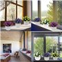 Fycooler Plantes Artificielles en Pot, Plantes Topiaires Artificielles de Cactus, Plantes Succulentes Décoratives Faux Cactus en