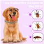 Collier pour Chien Anti-Insectes, réglable pour Grands, Moyens et Petits Animaux de Compagnie