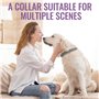 Collier pour Chien Anti-Insectes, réglable pour Grands, Moyens et Petits Animaux de Compagnie