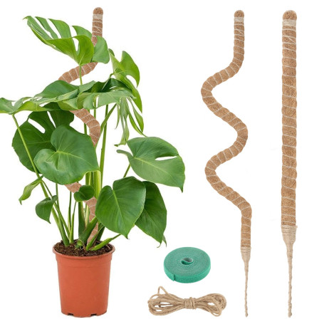 VFANDV Tuteur Plante