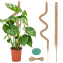 VFANDV Tuteur Plante