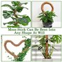 VFANDV Tuteur Plante, 120CM Support Plante Grimpante Tuteur Coco avec Twist 2 Meter pour Soutenir Les Plantes, pour Plante Jardi